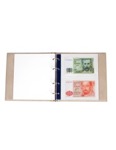 HOJA ALBUM DE BILLETES NUMIS 1 COMPARTIMENTO DE 165 MM. X 200 MM.