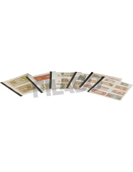 FILABO HOJA ALBUM DE BILLETES (BANCO, LOTERIA, CUPONES ONCE) 1 COMPARTIMENTO DE 242 MM x 290 MM