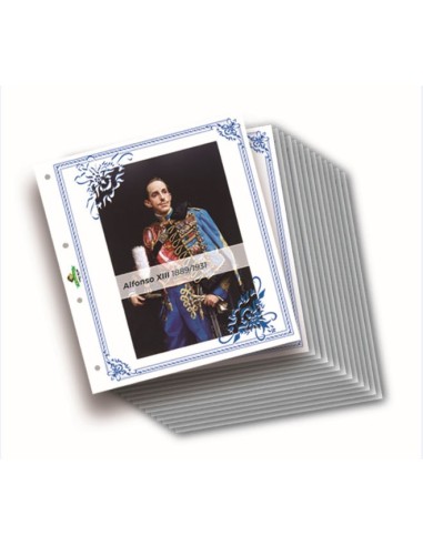 JUEGO HOJAS ALBUM PARA BILLETES DE ESPAÑA ALFONSO XIII 1889-1931 FILABO