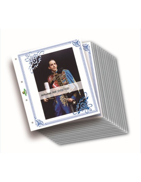JUEGO HOJAS ALBUM PARA BILLETES DE ESPAÑA ALFONSO XIII 1889-1931 FILABO
