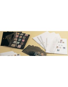 HOJA CLASIFICADORA EN CARTULINA RIGIDA PARA ALBUMES  ( 10 UNIDADES )