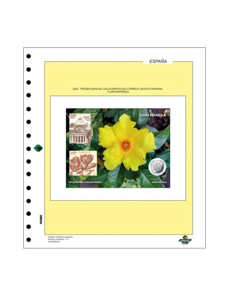 Hojas Filabo España - Prueba Calcografica